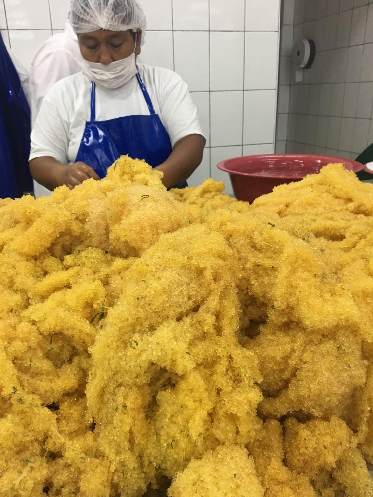 飛魚籽 FLYING FISH ROE