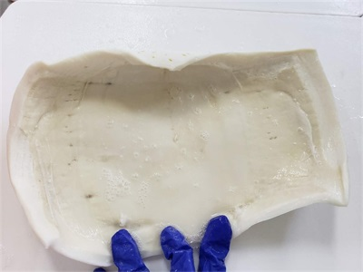 進(jìn)口秘魯魷魚.PNG 進(jìn)口秘魯魷魚.PNG