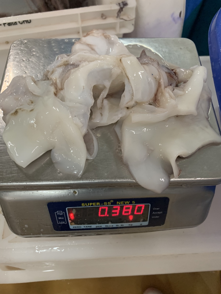 煙臺進口秘魯魷魚 (1).jpg