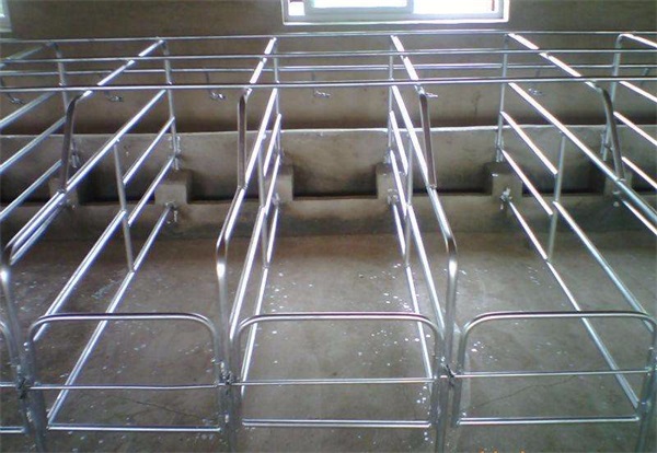 養(yǎng)豬設備 (3).jpg